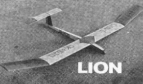 Lion (Plan and Article)