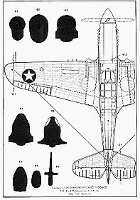 P40 F Warhawk (3 of 3)