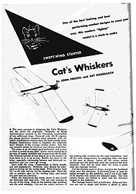 Cat's Whiskers Article