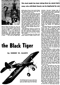 Black Tiger (Article)