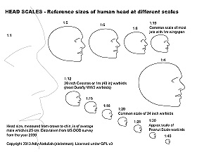Head Scales US Letter