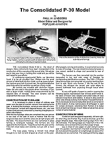 The Consolidated P-30 Model (Article and Plan)