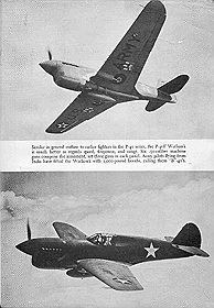 P40 F Warhawk (1 of 3)