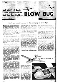 Blow Bug Article